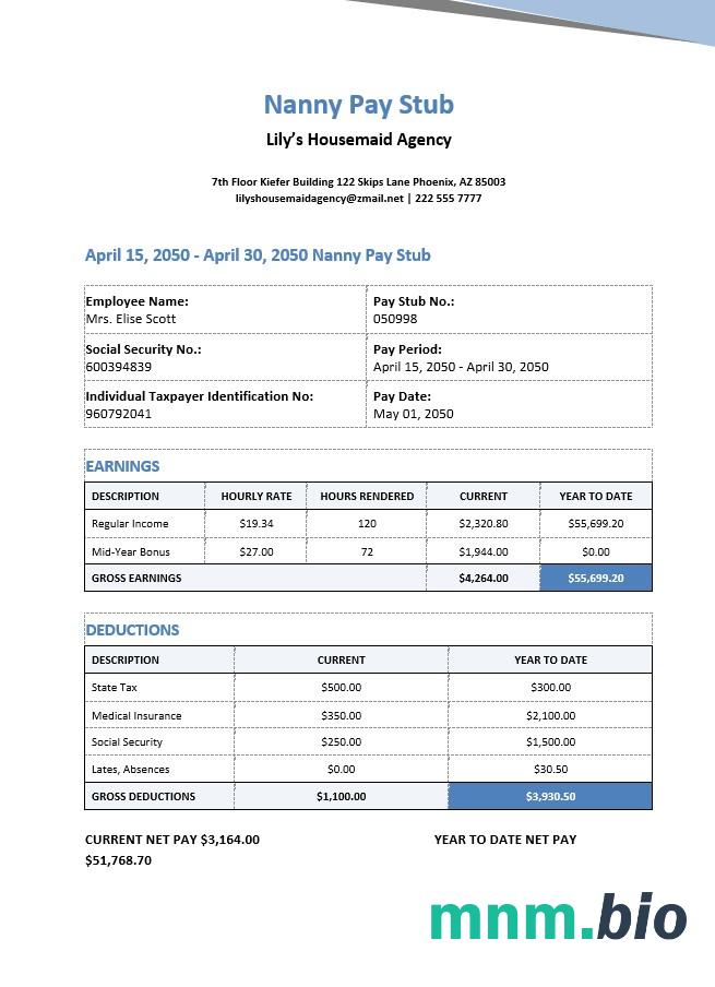 Szablon Niania Pay Stub